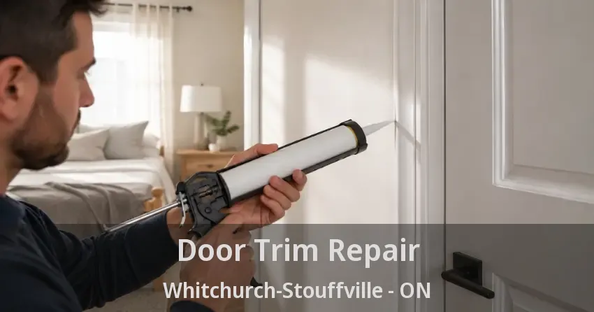 Door Trim Repair Whitchurch-Stouffville - ON