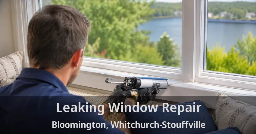 Leaking Window Repair Bloomington, Whitchurch-Stouffville - ON