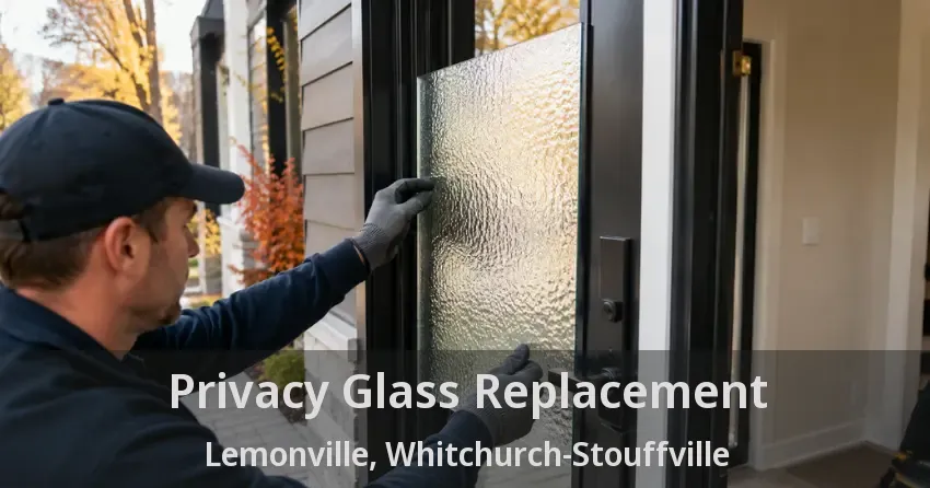 Privacy Glass Replacement Lemonville, Whitchurch-Stouffville - ON